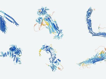 Protein structures predicted by the AI system AlphaFold.