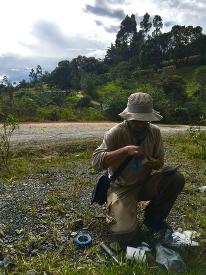 Professor Aldo Rincón conducting fieldwork in the Serranía del Perijá mountain range.
