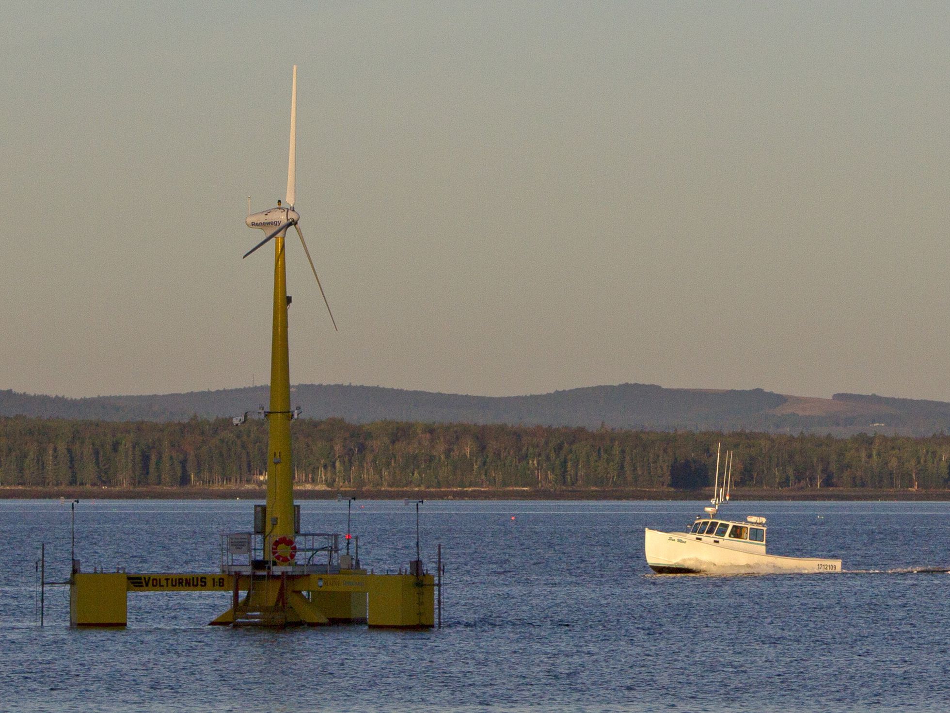 Fishing Report: Wind farms attract big fish species, captains say