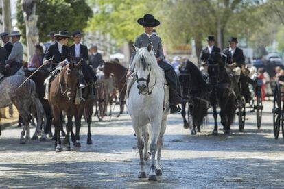 One of the highlights of this week-long event is watching the Andalusian horses and their riders go by.