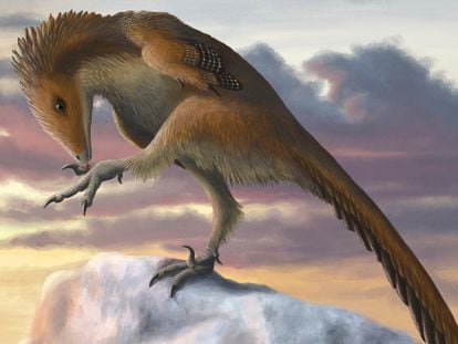 An illustration of a dinosaur from the troodontid family, 'Talos sampsoni'.