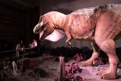 An animatronic tyrannosaurus at the Natural History Museum in London.