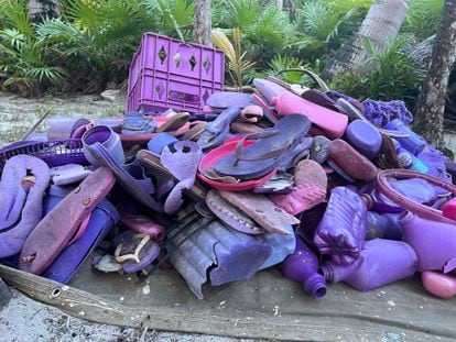 Tourist garbage collected on the beaches of Tulum.
