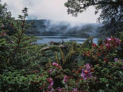 The Laguna de Botos surrounded by vegetation, around the Poás Volcano, in Costa Rica.