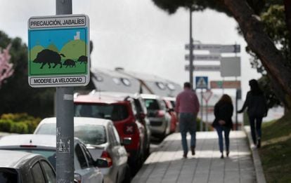A sign warning of the presence of wild boar in the Madrid suburb of Torrelodones.