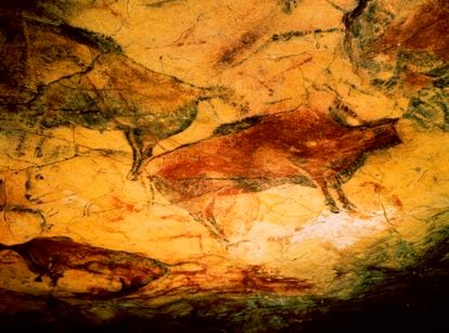 Dibujos prehistóricos de bisontes en la cueva de Altamira en Cantabria. 