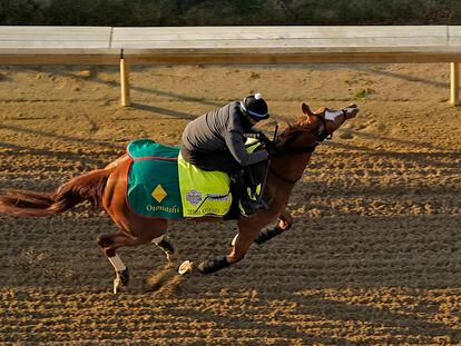 Kentucky Derby entrant Derma Sotogake, from Japan, works out at Churchill Downs on May 4, 2023, in Louisville, Kentucky.