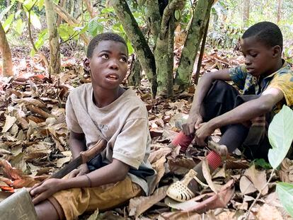 In this April, 2020 image provided by International Rights Advocates, children from Burkina Faso are seen resting while working on a cocoa plantation in Ivory Coast in Daloa