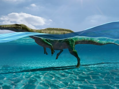 A reconstruction of what the spinosaurid looked like.