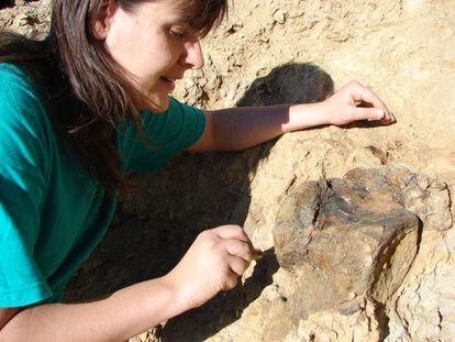 Paleontologist Begoña Poza, co-author of the study, at the ANA excavation site in Cinctorres, Castellón.