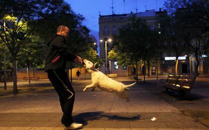 A man plays with a bull terrier next to the bench where Jorge Luis Costas was shot on April 27.