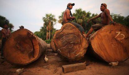 Deforestation affects the Madre de Dios region in the Peruvian Amazon.