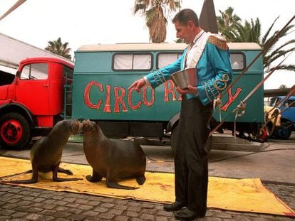 Circus animals will not be able to visit Catalonia should the new law pass.