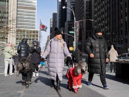 A woman walks her two dogs on Christmas Eve in New York.
