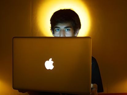 Aaron Swartz in an image taken a few months before he committed suicide.