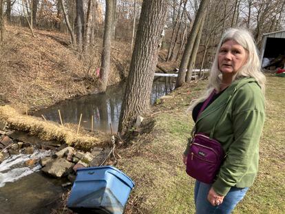 Sherry Bable stands beside Sulphur Run, a creek, February 25, 2023, in East Palestine, Ohio, near the spot where a train derailed in a fiery crash. It's among local waterways where "Keep Out" signs are being posted as they are examined for contaminants.