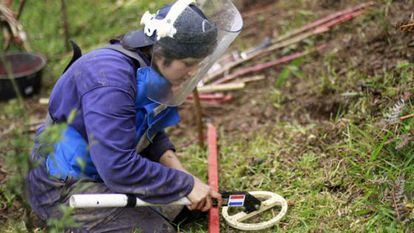 A woman looks for mines with a metal detector.