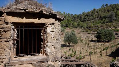 The ancient dry stone 'tina' of the Abadal winery in the Arboset vineyard (Barcelona).