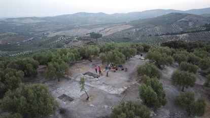 Excavation of  the site atop a wooded hillock in El Higuerón. 