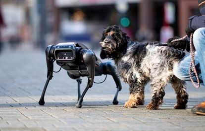 A Cyberdog is sniffed by a real dog at a PR event in Hamburg, Germany earlier this year.