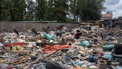 Mountains of garbage at the Dandora landfill (Nairobi, Kenya).