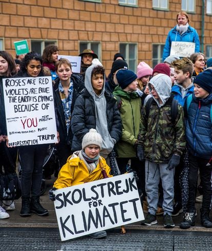 Greta Thunberg at a protest outside the Swedish Parliament, Stockholm, circa 2019.
