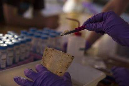 A sample taken from the Ebro for analysis.