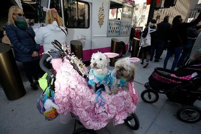 Two dogs dressed up during the Easter parade in New York