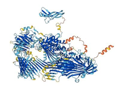 AlphaFold's prediction of the structure of  vitellogenin, an essential protein for all animals that lay eggs.