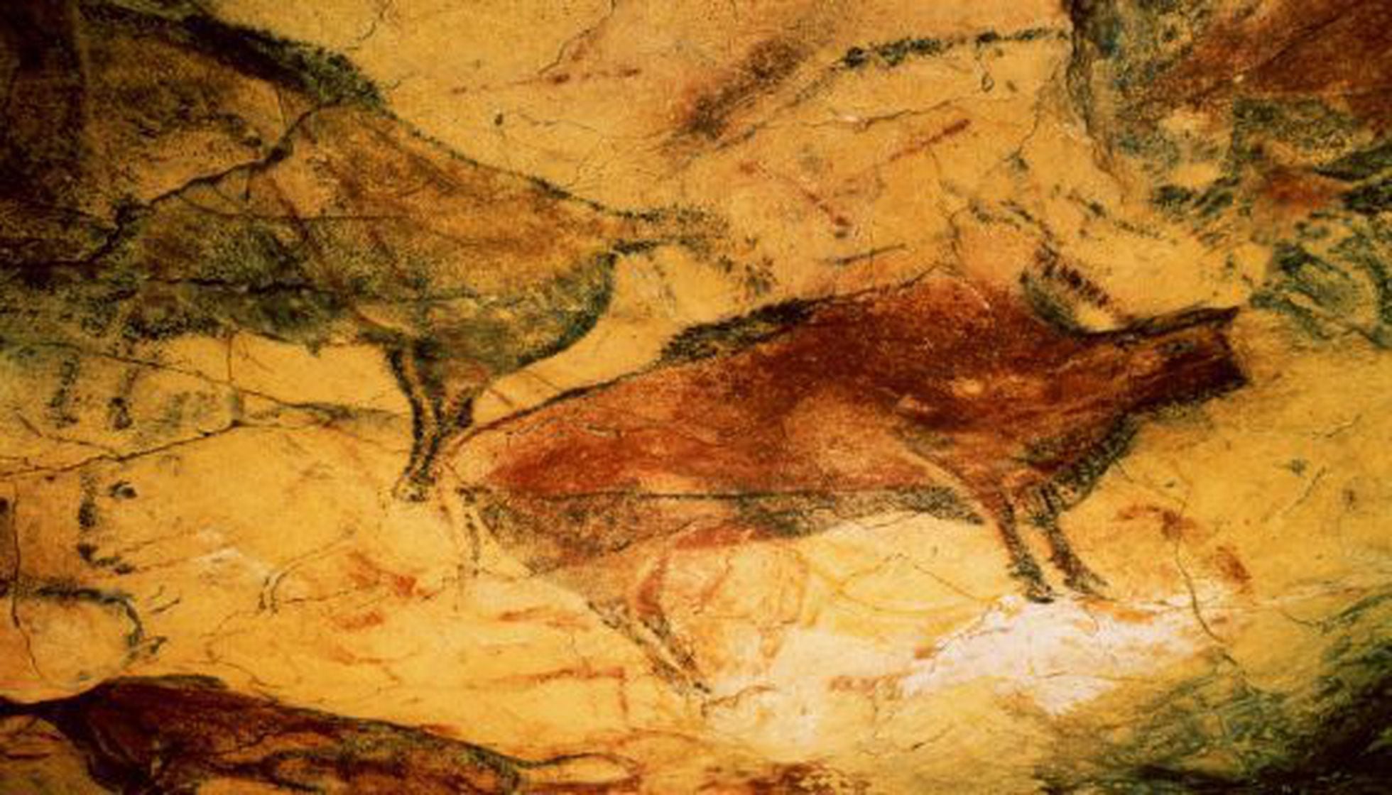 Spanish Culture: Access To Altamira Cave Paintings: Open To The Highest ...