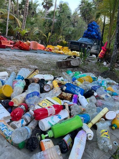 Plastic containers recovered from the coast of Tulum.