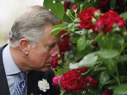 Charles III at the presentation of the Highrove flowers at the Chelsea Flower Show, on May 18, 2009, in London.