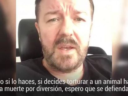 Video: Ricky Gervais rails against bull events on Facebook.