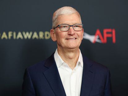 Apple CEO Tim Cook on Friday while attending an American Film Institute event in Los Angeles, California.