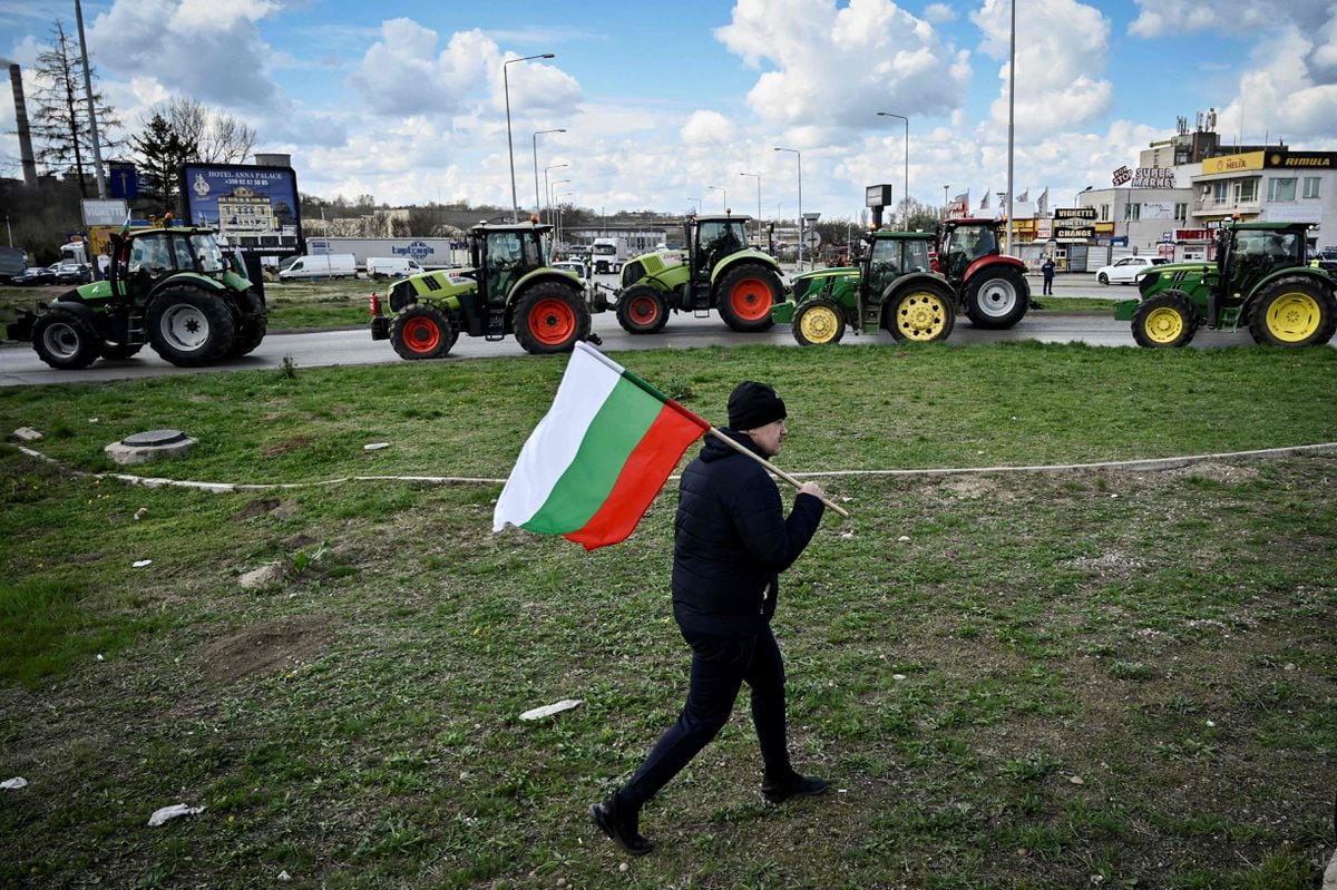 Photo of Bezcolné ukrajinské obilie hnevá východoeurópskych farmárov |  International