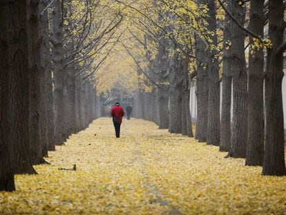 A person walks in Beijing, China, in November 2020.