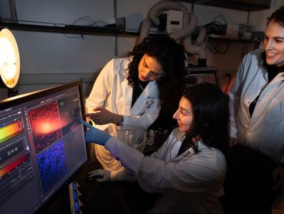 Researchers at the University of Michigan review images captured of oocytes in ovarian tissue.
