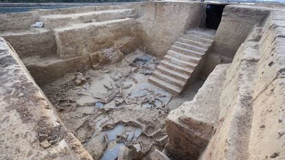 Animals sacrificed in a ritual that took place 2,500 years ago in a building unearthed in Guareña, Badajoz. The staircase makes this Tartessian excavation unique in this part of the world. 