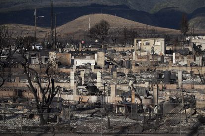 Burnt trees and the ruins of houses are what is left after the Lahaina fire burnt through the city, in Lahaina, Hawaii, USA, 13 August 2023