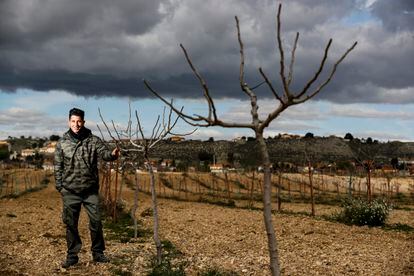 Alvaro Díez on his farm which has 25 hectares of pistachio trees.