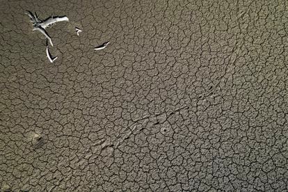 Cracked earth at the bottom of the Yesa reservoir, in the province of Zaragoza, Spain.