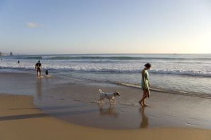 A woman walks her dog on Arrifana beach.