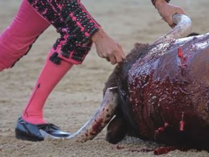 Spain’s animal-rights party PACMA presents documentary by video journalist Jaime Alekos focusing on the reality of death in the ring