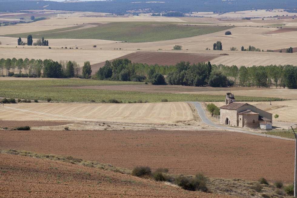 Surroundings of the municipality of Fresno de Cantespino (Segovia), in the area where the Castiltierra necropolis is located.