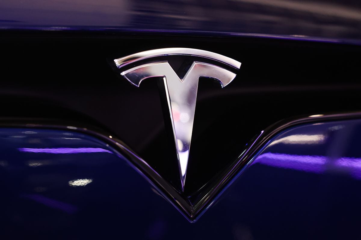 Tesla cuts vehicle prices in bid to boost flagging demand, Economy and  Business