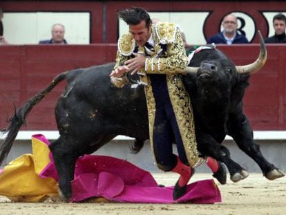 Bullfighter David Mora is gored in the ring on Tuesday in Las Ventas.