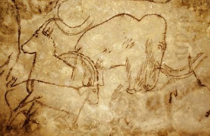  Cave painting of a mammoth in the Rouffignac Cave, France.
