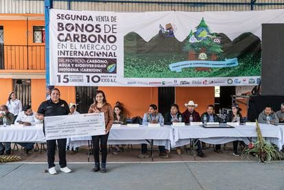 Carbon credits being sold on the international market in Santa María Peñoles, Mexico, in October of 2022.