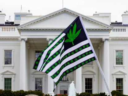 A demonstrator waves a flag with marijuana leaves depicted on it during a protest calling for the legalization of marijuana, outside of the White House on April 2, 2016, in Washington.