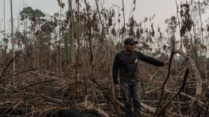 Eric Karipuna, 24, observing the devastation in Karipuna territory in Porto Velho.